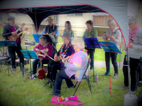 Gig at a local Community Housing estate