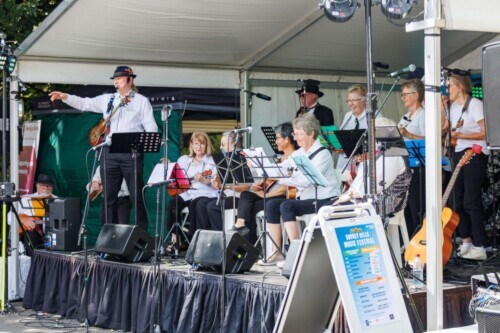Blues Brothers, Soul Sisters tribute at the Surrey Hills Music Festival