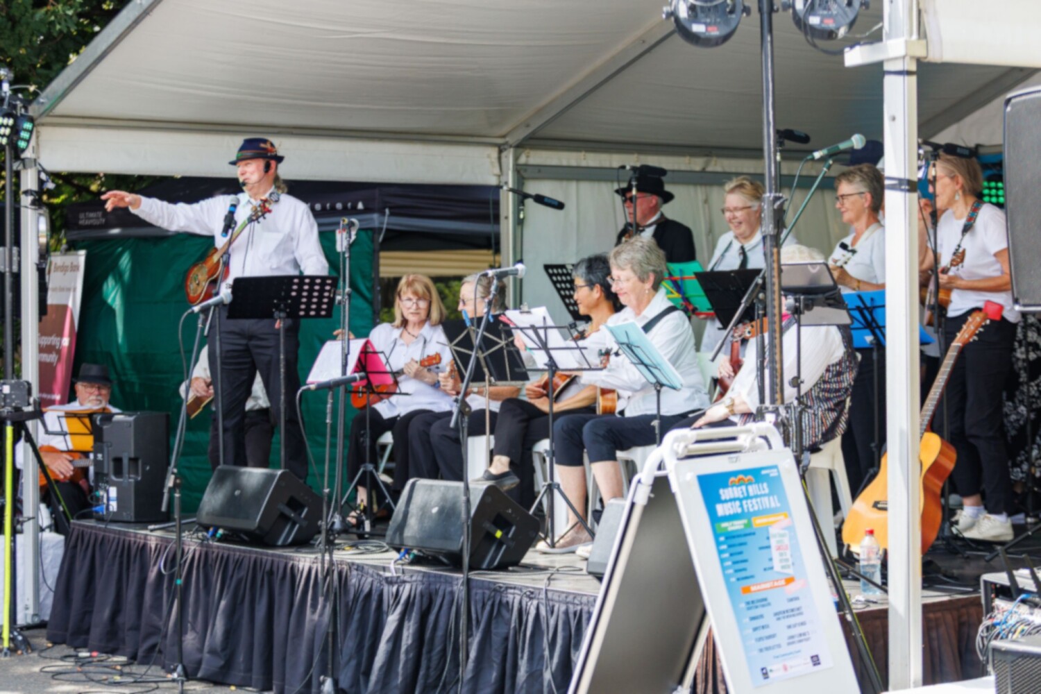 Blues Brothers, Soul Sisters tribute at the Surrey Hills Music Festival